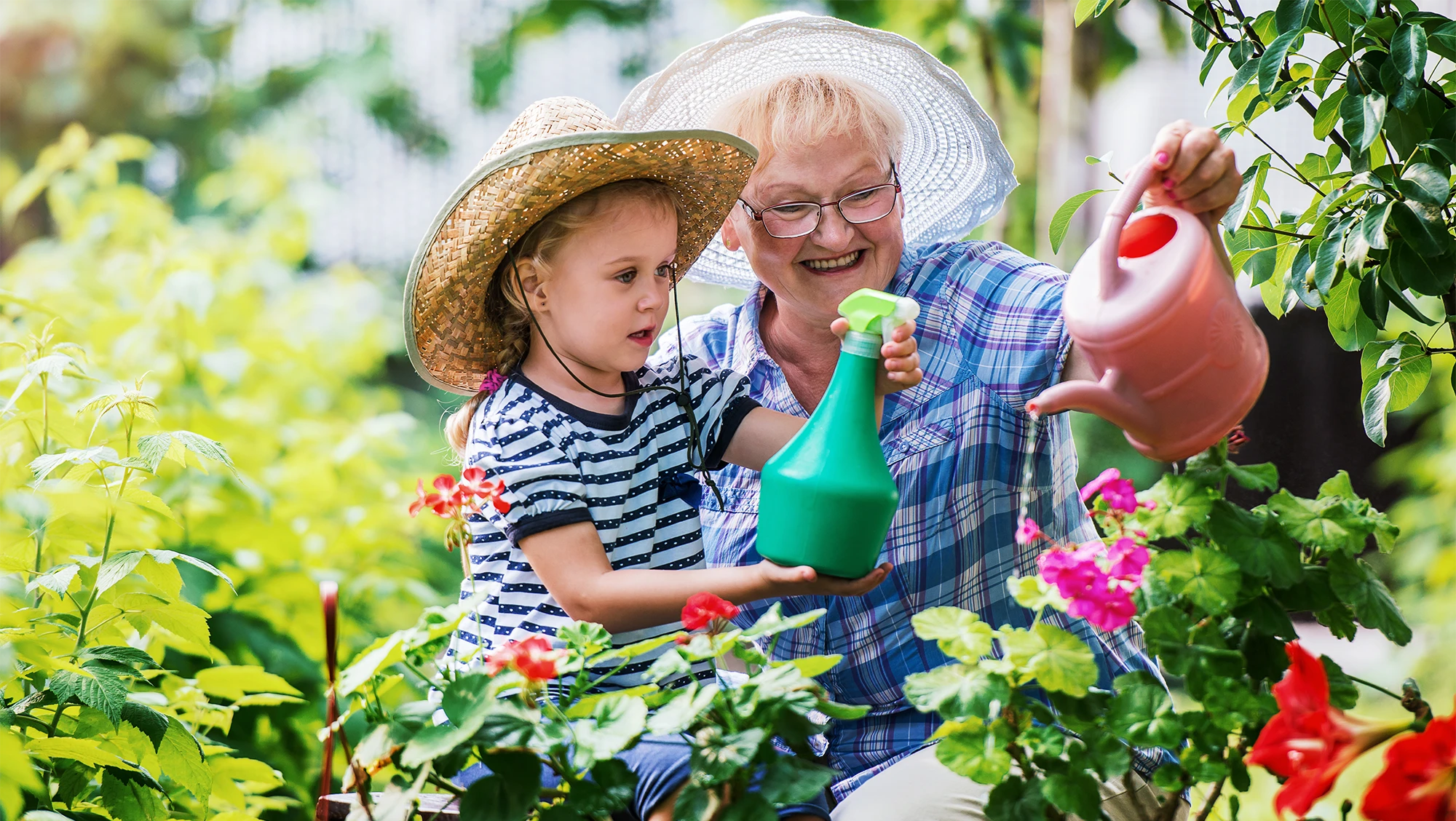 The Benefits of Gardening for Alzheimer's and Dementia