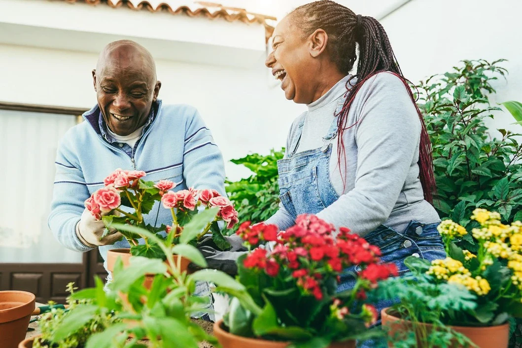 Joyful Living: Indoor Activities for Seniors at Park Visalia