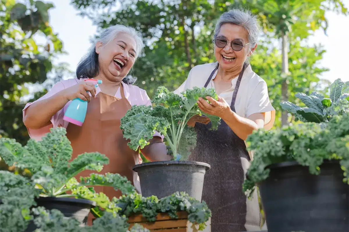 What is the Difference Between Assisted Living and Independent Living?