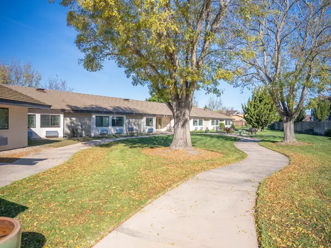 Memory Care Outdoor Yard at Madonna Gardens Salinas Large open memory care yard with mature trees, curved walking path, and expansive lawn at Madonna Gardens in Salinas, California, where outdoor activities are held throughout the year.