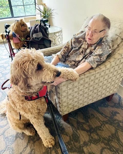 Therapy dog visits Castro Valley senior residents